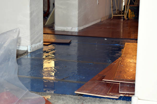 Professional Basement Flood Cleanup technician working in California, PA
